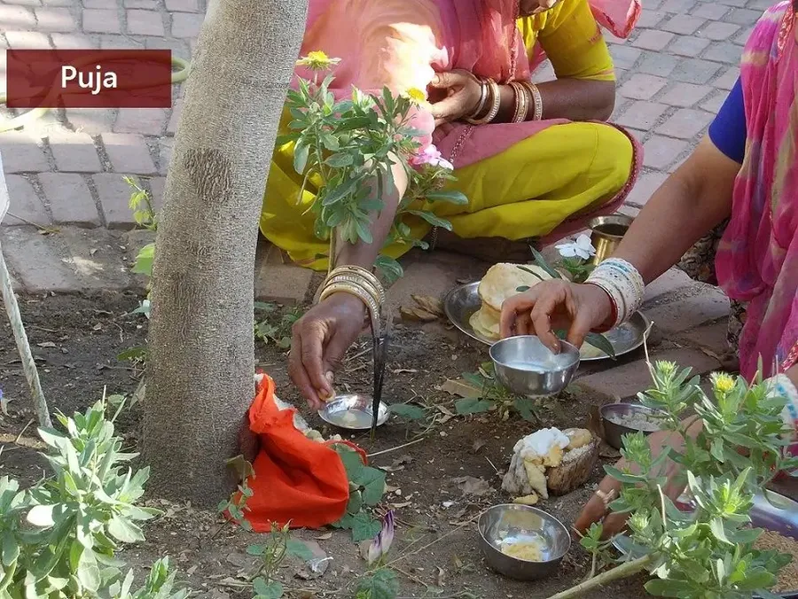 the-day-of-shitala-devi bodyImage